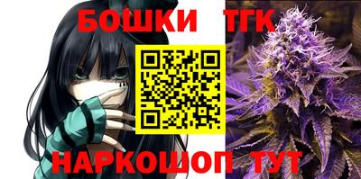 стаф Донецк