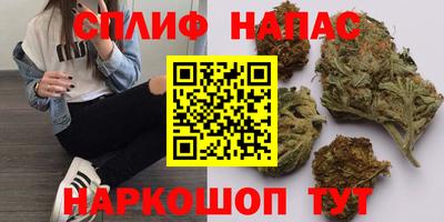 стаф Донецк