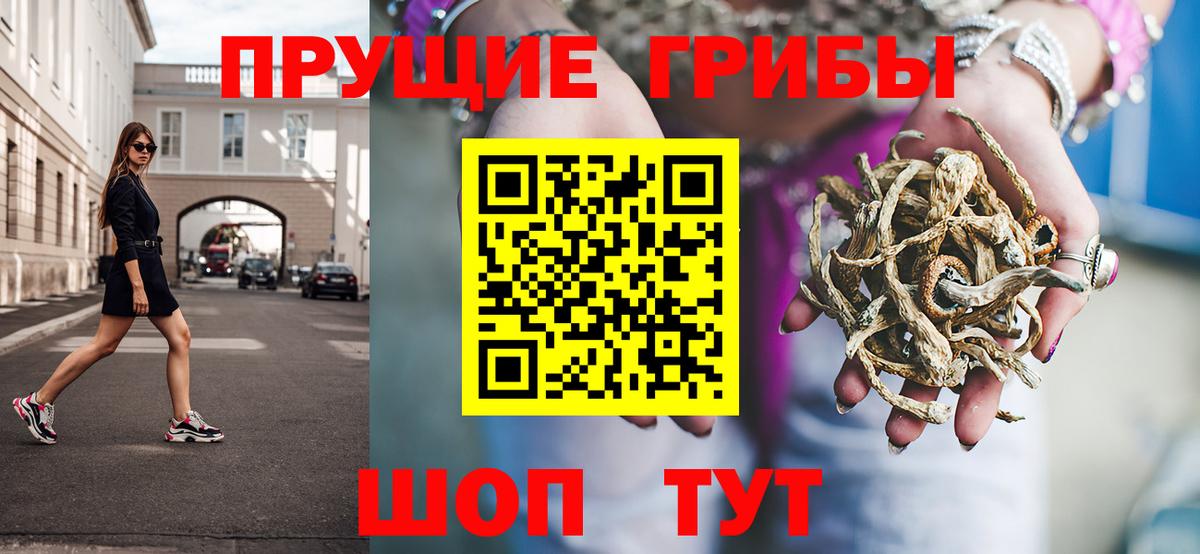 Псилоцибиновые грибы Psilocybine cubensis Мичуринск