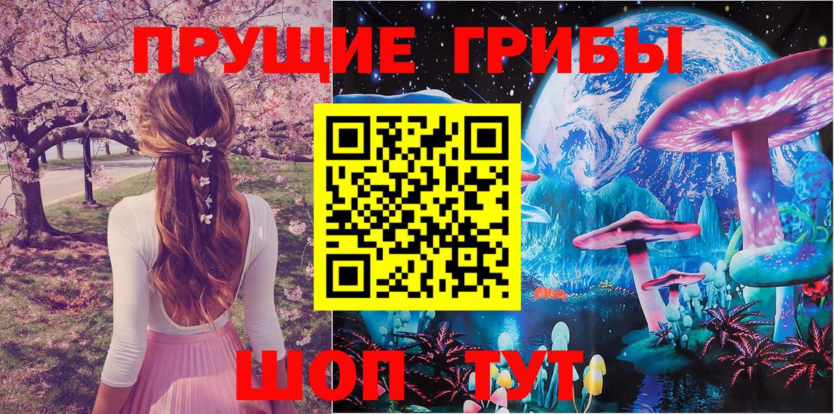 Мичуринск  Галлюциногенные грибы Cubensis  Псилоцибиновые грибы Psilocybine cubensis  Вход с VPN 